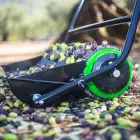 Apanhador de Azeitona OliveClean 80 CM  - Apanhador de Azeitona OliveClean 80 CM 